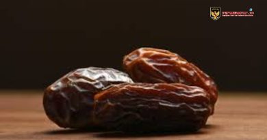 3 Butir Kurma Saat Sahur, Cukupkah untuk Puasa 14 Jam? Ini Penjelasan Ahli