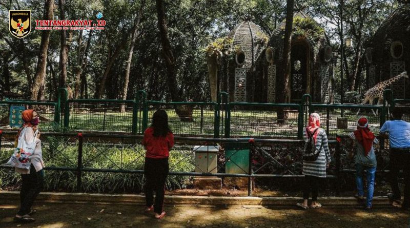 tempat wisata keluarga Ragunan saat Lebaran