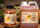 Produk madu Trigona BeeFam’s yang sukses menembus pasar digital melalui platform LinkUMKM