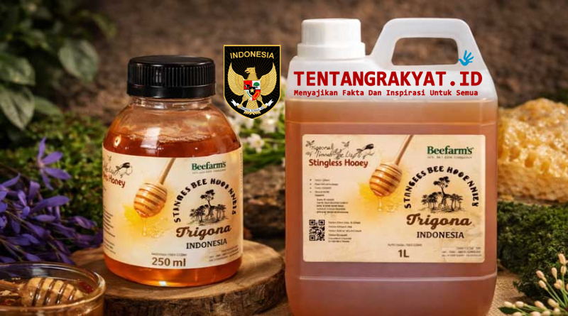 Produk madu Trigona BeeFam’s yang sukses menembus pasar digital melalui platform LinkUMKM
