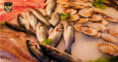 7 Ikan Paling Sehat yang Disarankan untuk Dikonsumsi, Kaya Nutrisi dan Baik untuk Tubuh