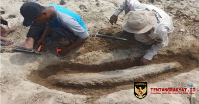 Deretan Foto Fosil Temuan Warga Bikin Heboh, Diduga Berusia Jutaan Tahun