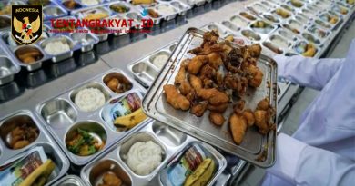 Program Makan Bergizi Gratis: Antara Impian Besar dan Tantangan Nyata