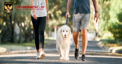 Ilustrasi seorang pria dan wanita berjalan kaki santai setelah makan di lingkungan perumahan yang asri.