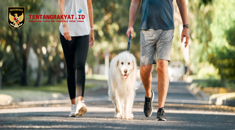 Ilustrasi seorang pria dan wanita berjalan kaki santai setelah makan di lingkungan perumahan yang asri.