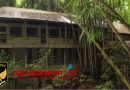 Misteri di Tengah Hutan Lampung berupa bangunan megah terbengkalai di tengah hutan