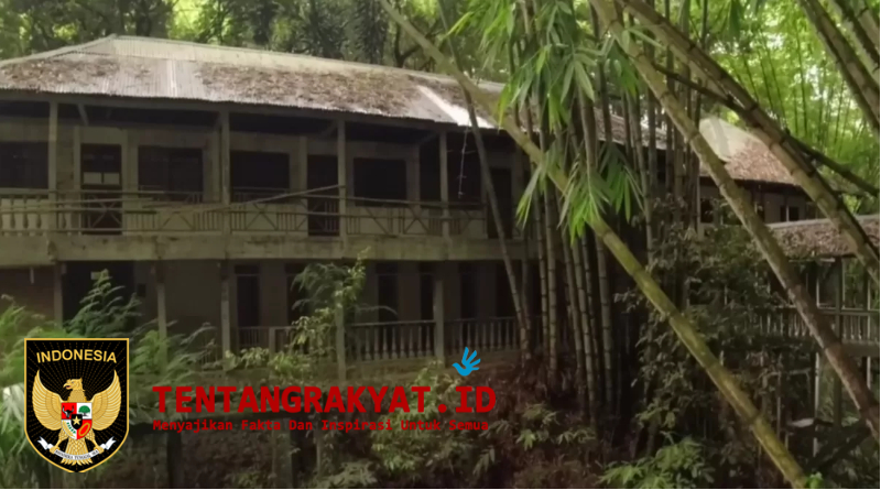 Misteri di Tengah Hutan Lampung berupa bangunan megah terbengkalai di tengah hutan