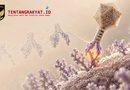 Startup AS Suntikkan Virus Buatan AI ke Manusia, Ini Tujuannya